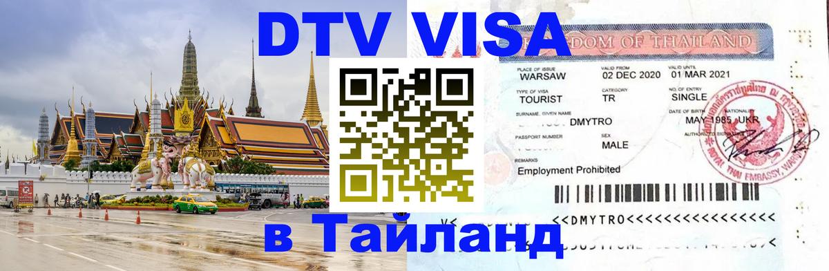 Оформление DTV визы под ключ: стоимость и тарифы, только загранпаспорт - 